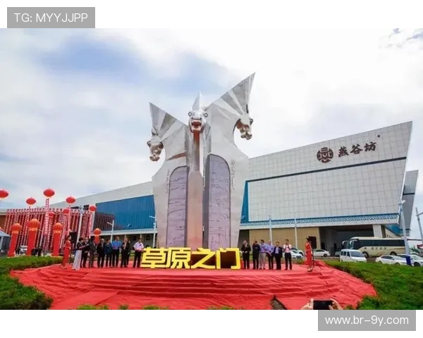 永川足球比赛主场魅力展现探索体育文化与城市发展的融合之路